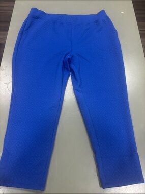 Women Blue Textured Pull-On Pants